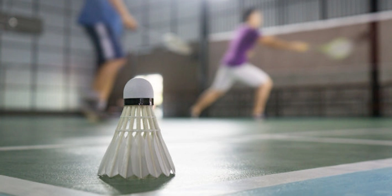 BWF World Tour Finals