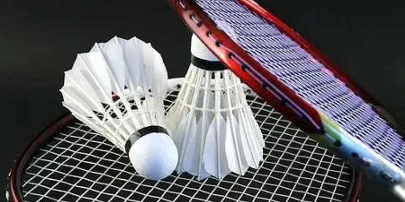 Top 10 Vận Động Viên Cầu Lông Nổi Tiếng Nhất